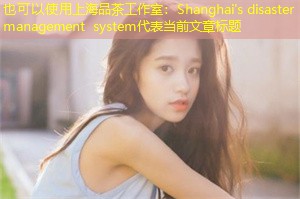 Shanghai's disaster management system Shanghai's disaster management system